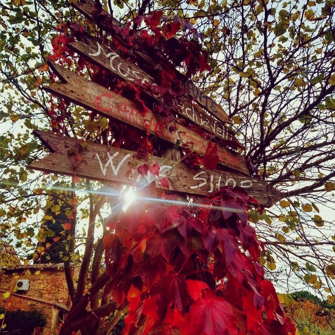 Una cartolina autunnale di villa Machiavelli 🪧🍁🍂
Vi aspettiamo tutti i giorni sia a pranzo che a cena.
Ricordatevi di prenotare su Instagram il vostro tavolo &hearts;️
📸 @alegroove__ 
📍 Via degli Scopeti 64, San Casciano VP 
📲 www.villamachiave