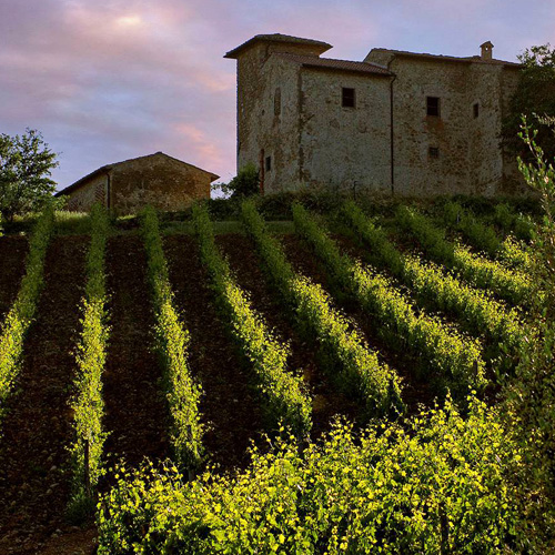 Villa Machiavelli